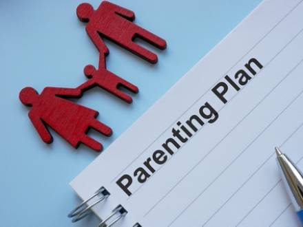 wi County, IL child custody attorney
